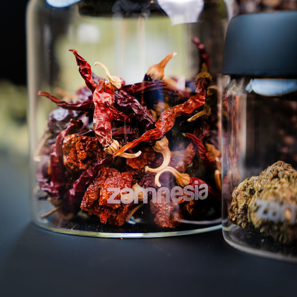 Szklany słoik VacuFresh (Zamnesia)