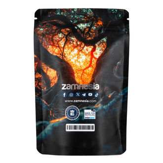 Torba Z-Lock na skarby z mitycznymi stworzeniami (średnia)