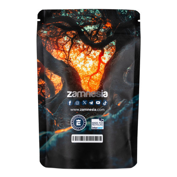 Torba Z-Lock na skarby z mitycznymi stworzeniami (średnia)