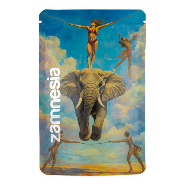 Torba Z-Lock TranceLucid (średnia)