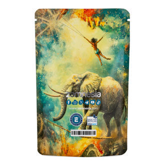 Torba Z-Lock TranceLucid (średnia)