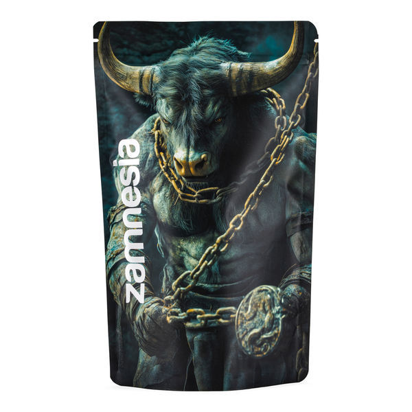 Torba Z-Lock na skarby „Mythical Creatures” (Extra Large)