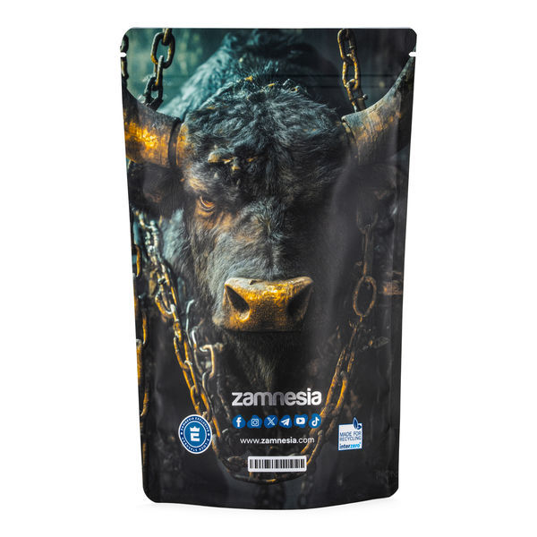 Torba Z-Lock na skarby „Mythical Creatures” (Extra Large)