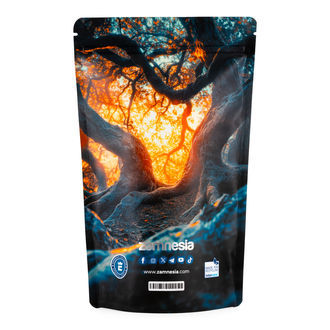 Torba Z-Lock na skarby „Mythical Creatures” (Extra Large)