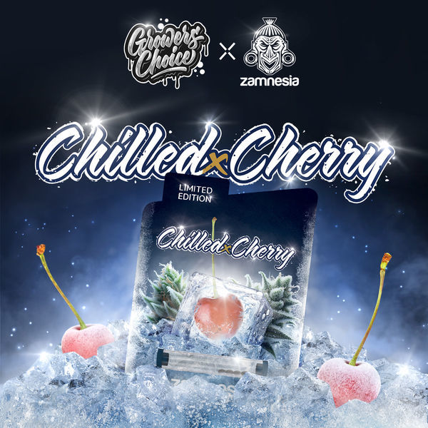 Chilled Cherry (Growers Choice x Zamnesia Seeds) nasiona marihuany feminizowane