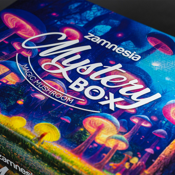 Zestaw do uprawy grzybków halucynków Mystery Box (Zamnesia)
