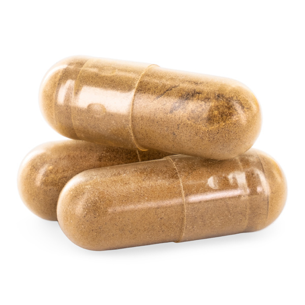 Kapsułki z soplówką jeżowatą (Zamnesia)