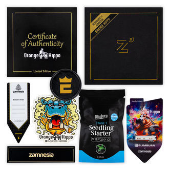 Orange Hippo (Blimburn Seeds x Zamnesia Seeds) nasiona marihuany feminizowane