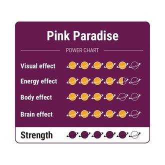 Pink Paradise Magiczne Trufle