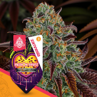 Passion Fruitz (Zamnesia Seeds) nasiona marihuany feminizowane