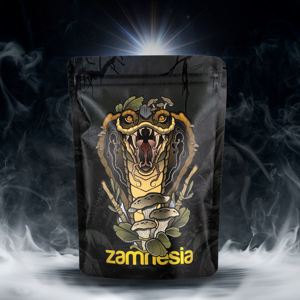 Zestaw Skarbów TRIBE "Wschodząca Kobra"