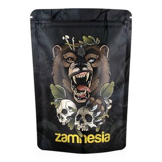 Zestaw Skarbów TRIBE "Ryczący Niedźwiedź"