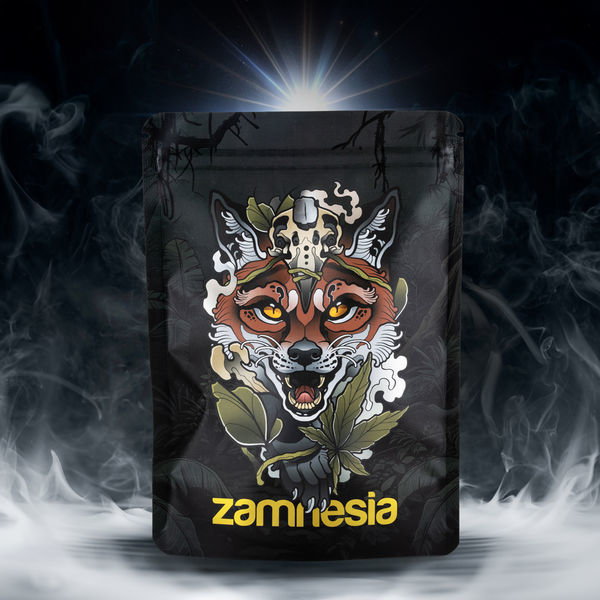 Zestaw Skarbów TRIBE „Zwiadowczy Lis”