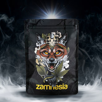 Zestaw Skarb&oacute;w TRIBE &bdquo;Zwiadowczy Lis&rdquo;