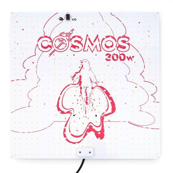 Zestaw namiot uprawowy 100x100 (Dark Box)