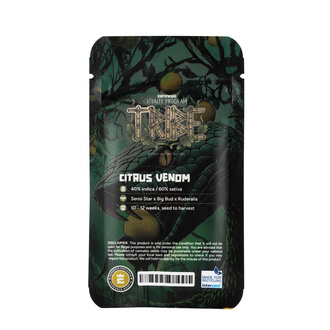 Citrus Venom Automat (Zamnesia Seeds) nasiona marihuany feminizowane