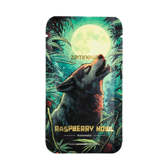 Raspberry Howl Automat (Zamnesia Seeds) nasiona marihuany feminizowane