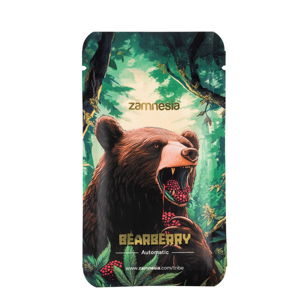 Bearberry Automat (Zamnesia Seeds) nasiona marihuany feminizowane