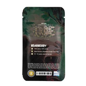 Bearberry Automat (Zamnesia Seeds) nasiona marihuany feminizowane