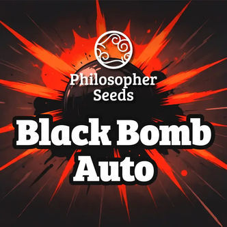 Black Bomb Automat (Philosopher Seeds) feminizowane