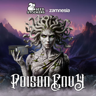 Poison Envy (Seedstockers x Zamnesia Seeds) feminizowane