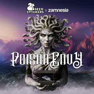 Poison Envy (Seedstockers x Zamnesia Seeds) feminizowane