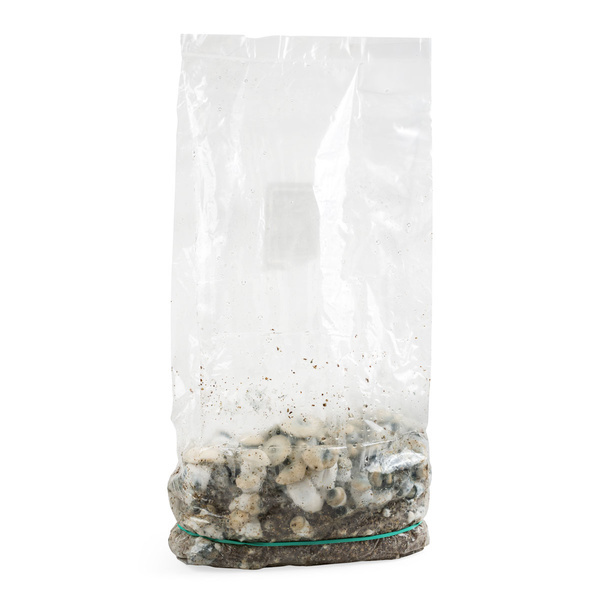 Torba Zamnesia Ready-2-Grow „Bluey Vuitton”