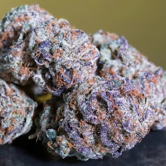 Blue Gem (Paradise Seeds) feminizowane