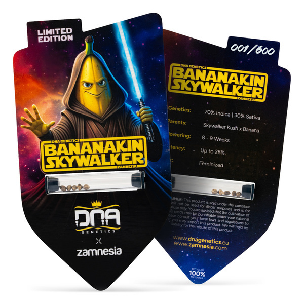 Bananakin Skywalker (Zamnesia Seeds x DNA Genetics) feminizowane