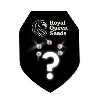 Feminized Mystery Seeds 5 (Royal Queen Seeds)