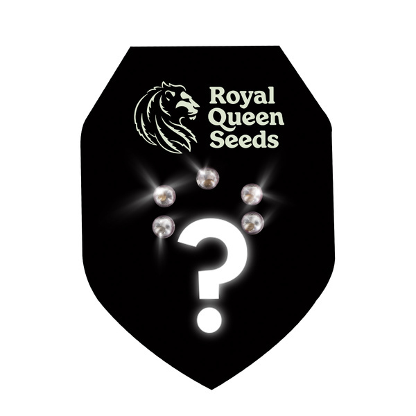 Feminized Mystery Seeds 5 (Royal Queen Seeds)