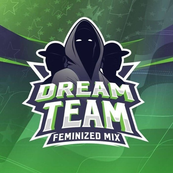 Dream Team Mix (BSF Seeds) feminizowane