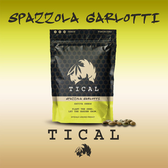 Spazzola Garletti (TICAL) feminizowane