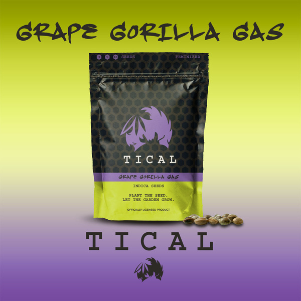 Grape Gorilla Gas (TICAL) feminizowane