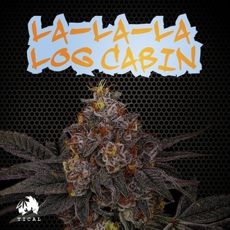 La-La-La Log Cabin (TICAL) feminizowane