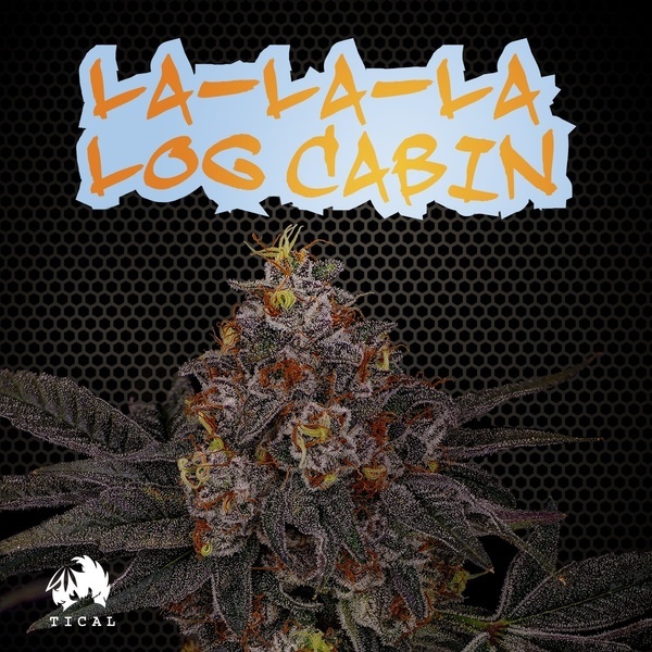 La-La-La Log Cabin (TICAL) feminizowane