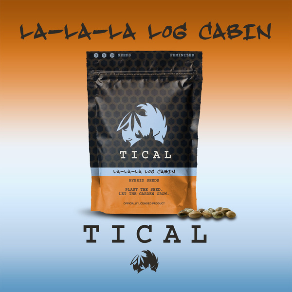 La-La-La Log Cabin (TICAL) feminizowane