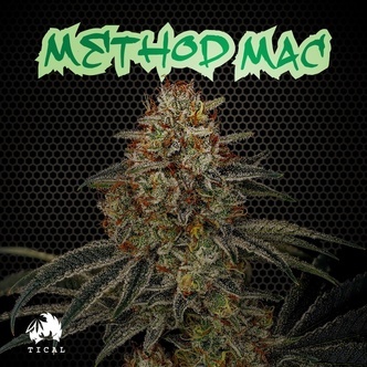 Method Mac (TICAL) feminizowane