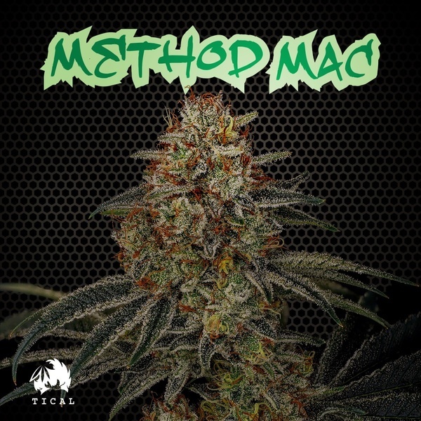 Method Mac (TICAL) feminizowane