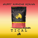 Sweet Morning Mimosa (TICAL) feminizowane