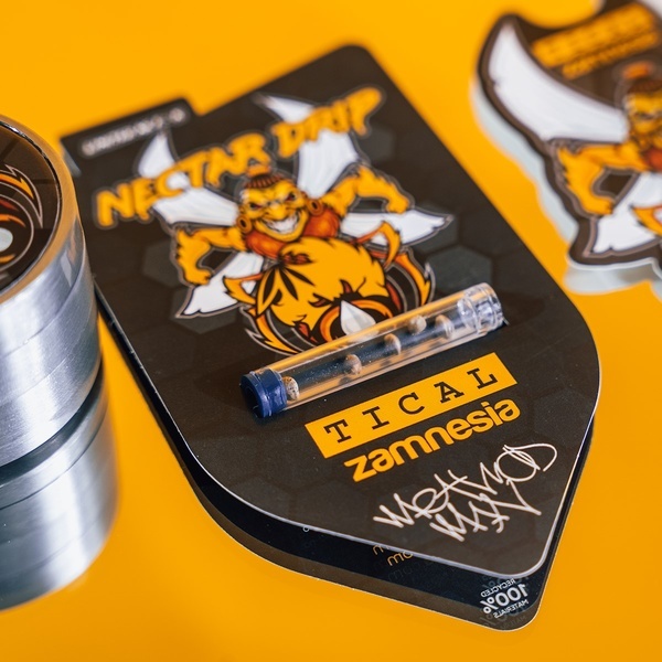 Nectar Drip (Zamnesia Seeds x TICAL) feminizowane