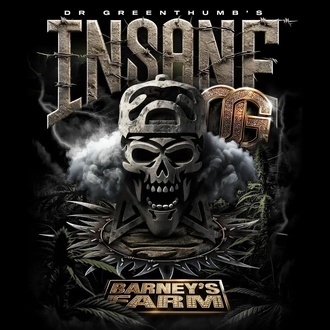 Insane OG (Barney's Farm) nasiona marihuany feminizowane