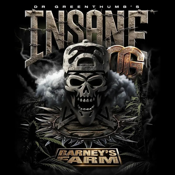 Insane OG (Barney's Farm) nasiona marihuany feminizowane