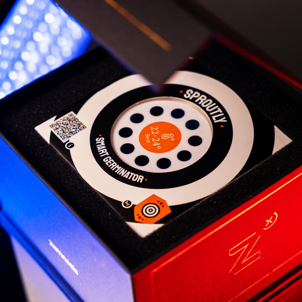 Scary Jane Fast Version (Kannabia x Zamnesia Seeds)