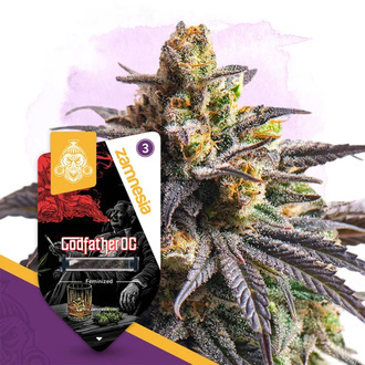 Godfather OG (Zamnesia Seeds) nasiona marihuany feminizowane