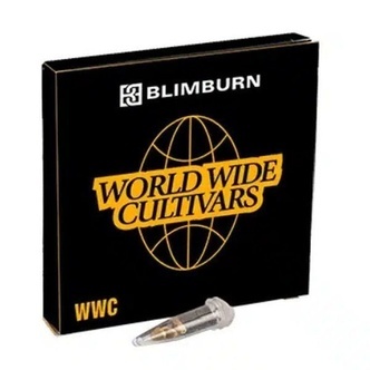 Cap Junky (Blimburn Seeds) feminizowane