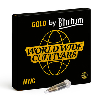 CBD ACDC (Blimburn Seeds) feminizowane