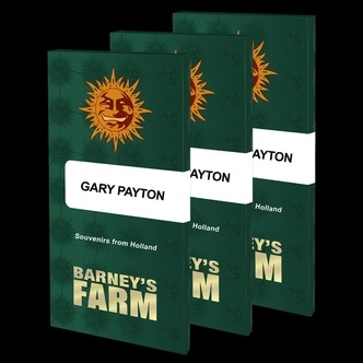 Gary Payton (Barney's Farm) feminizowane