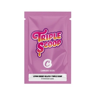 Lemon Cherry Gelato x Triple Scoop (Cookies) feminizowane