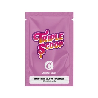 Lemon Cherry Gelato x Triple Scoop (Cookies) feminizowane